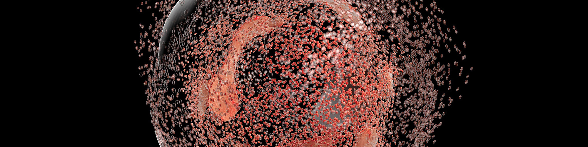 How to Use Flow Cytometry to Measure Apoptosis: Part Two