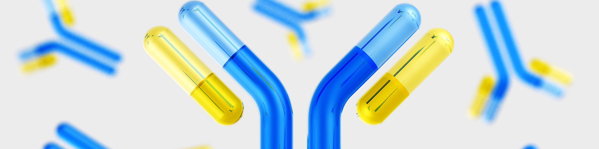 Treat Them Right! Best Practices for Storing and Working with Antibodies