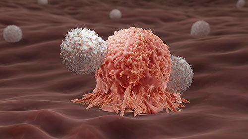 Immune Cells Get an Upgrade: A Stronger Defense against Cancer