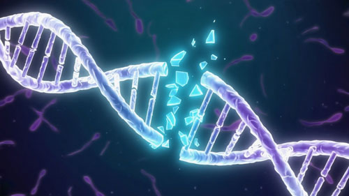 ADP-Ribosylation — A PARful Regulator of the Cell