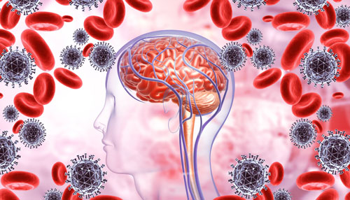 The Brain: A Bodyguard against Infection 