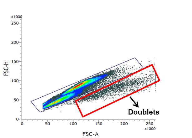 flow cytometry doublets