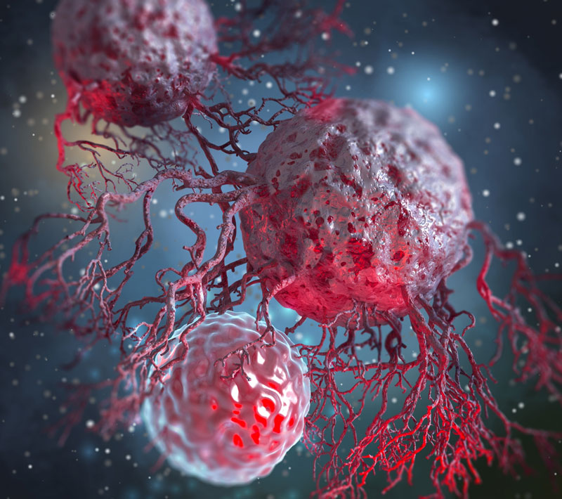 Cancer Shapeshifters: How Cell Plasticity Fuels Therapy Resistance