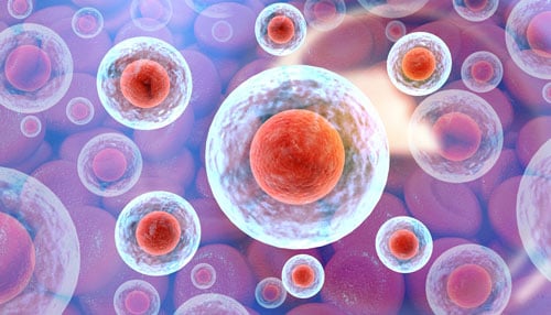 How Flow Cytometry Powers Cancer Immunotherapy Research