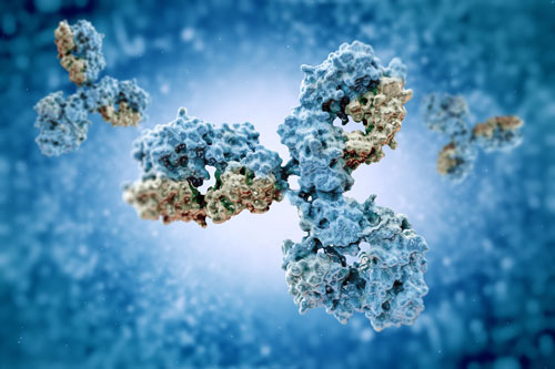 Bispecific Antibodies: A New-Age Cancer Immunotherapy to Battle Solid Tumors