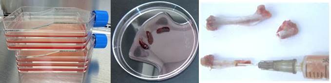 flow cytometry sample preparation image