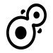 Cell Cycle