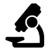 Immunofluorescence