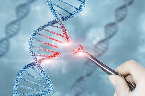 Is the Future of CAR T-Cell Therapy Off-the-Shelf? Genetic Engineering Could Be the Answer