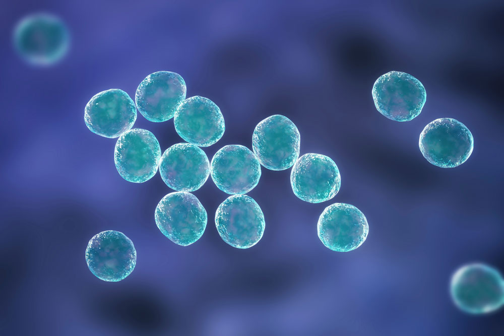 Seeing the Unseeable: How the ZE5 Cell Analyzer Is Bringing Nanoscale Particles Into Focus